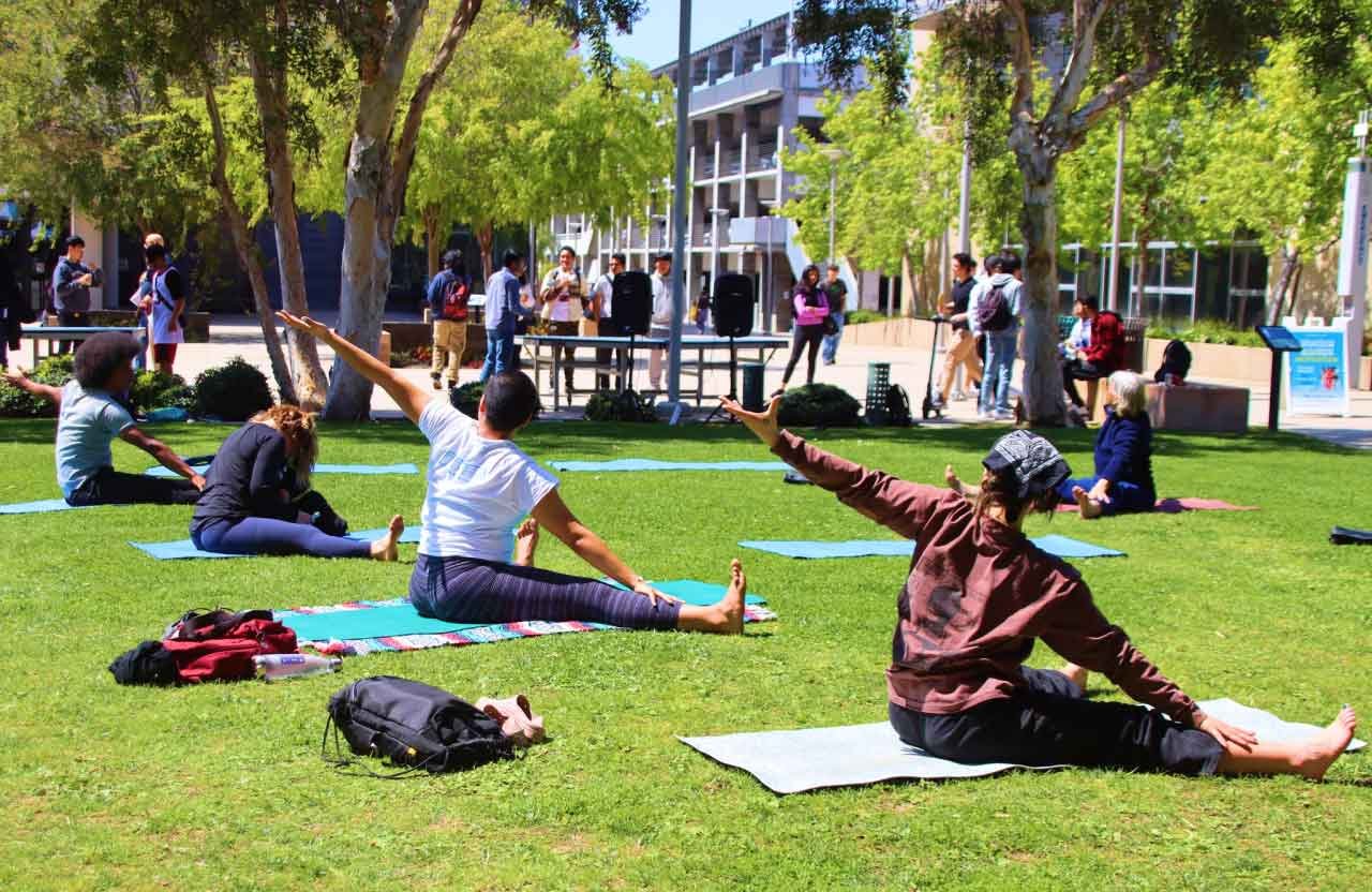 students doing yoga outside