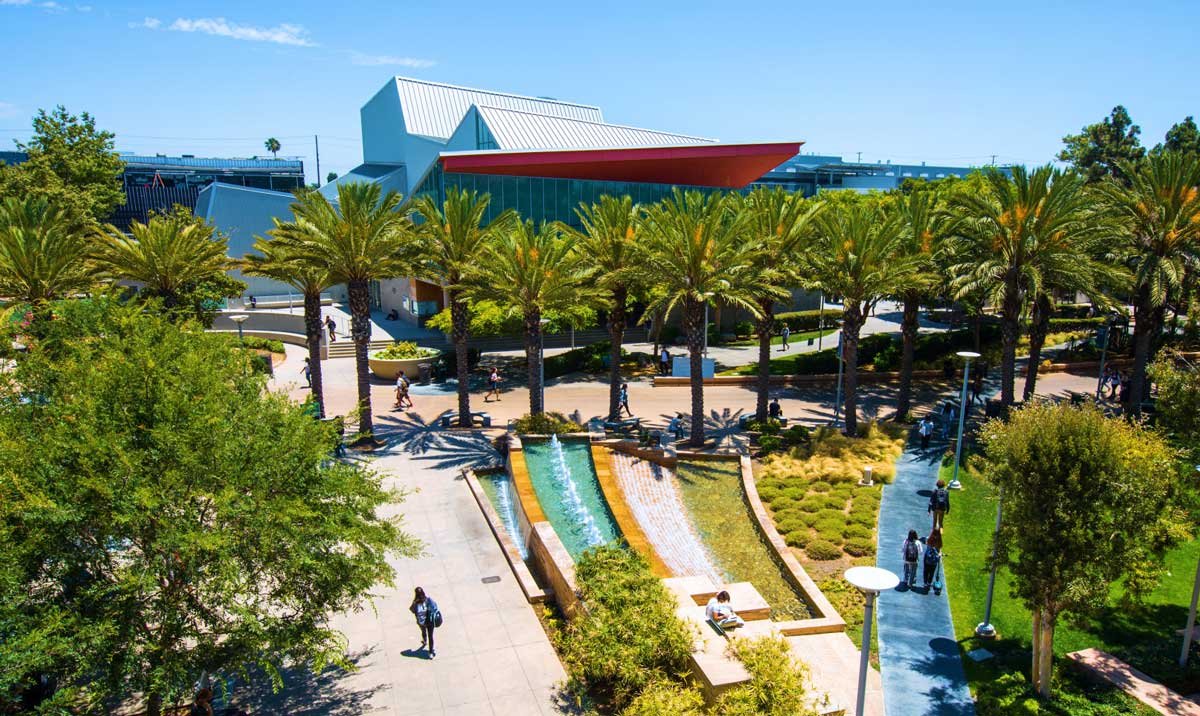 beautiful campus with palm trees